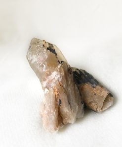 citrinos originales en Colombia