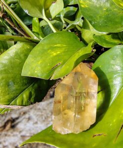 Cristales del Congo en Cali