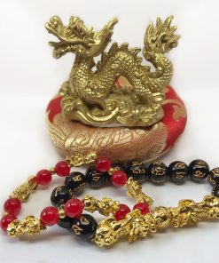 Dragon del año chino de la abundancia