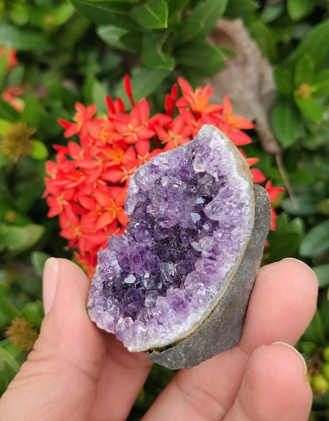 Amatista Punta Geoda 2 Amatista de alta calidad en Cali