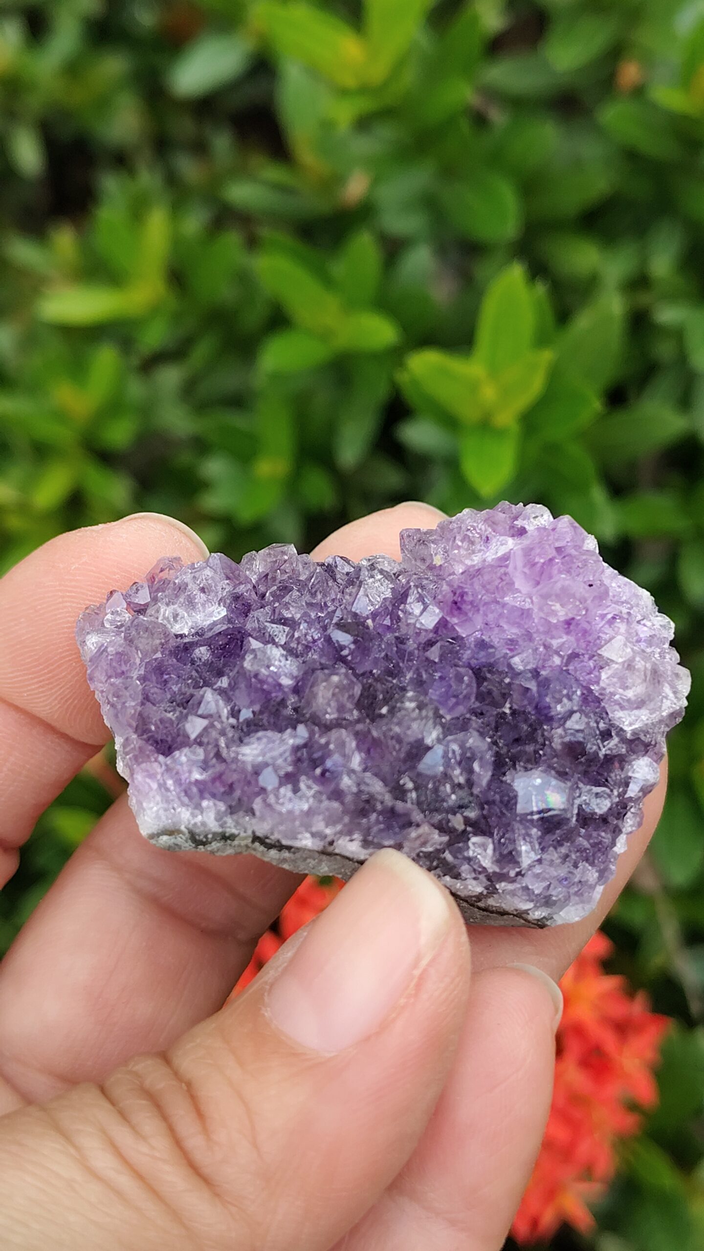 Amatista Punta Geoda 3 Amatista de alta calidad en Cali