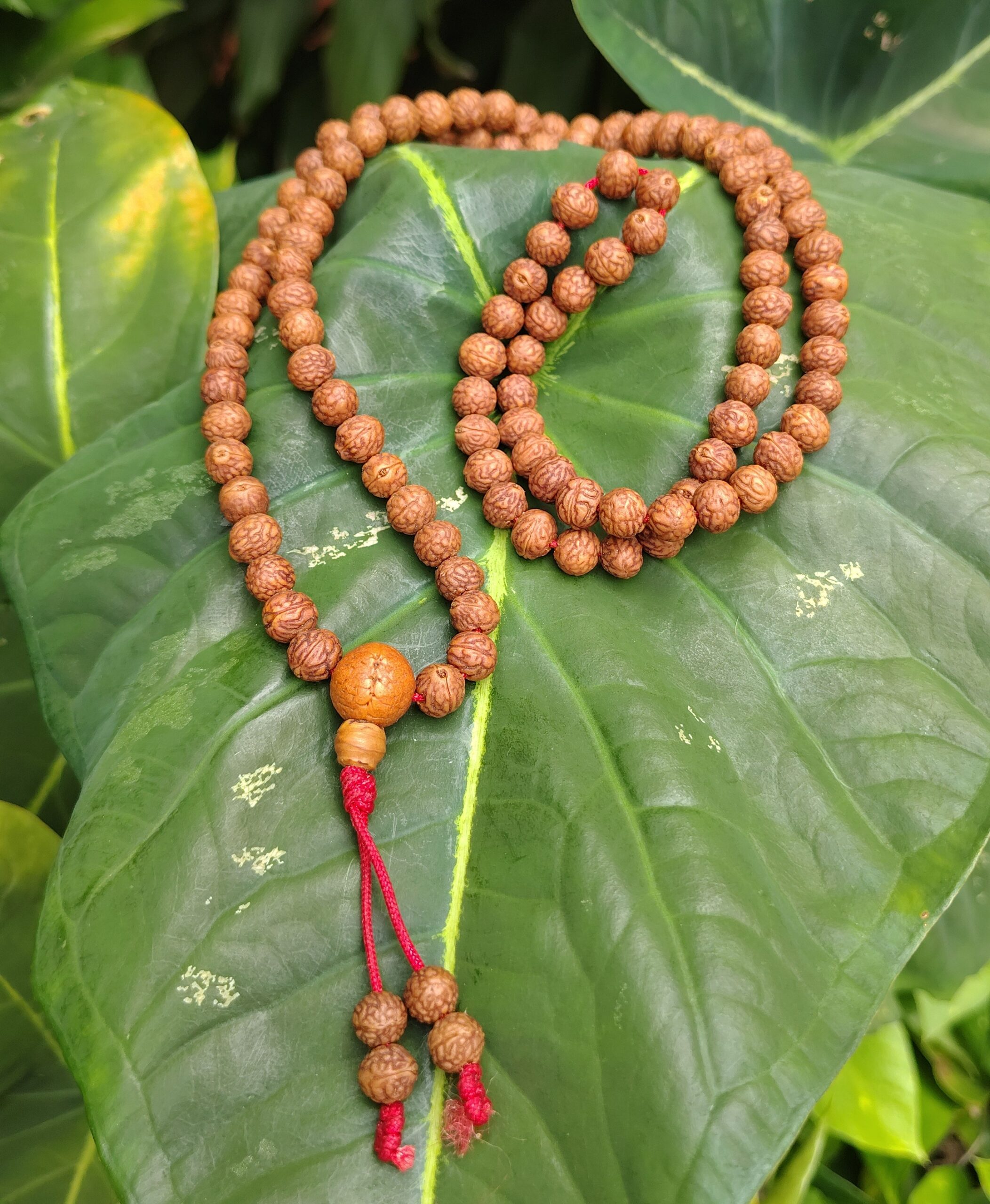 Japa Mala Semilla de iluminación Bodhi Japa malas de Nepal en Cali